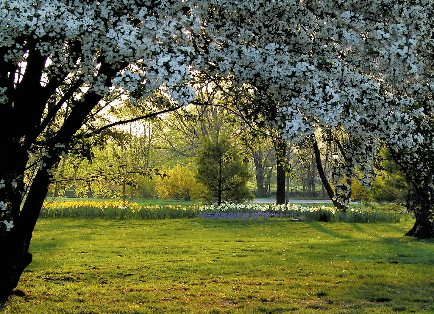График пересдачи экзаменов на кафедре МЭиИБ